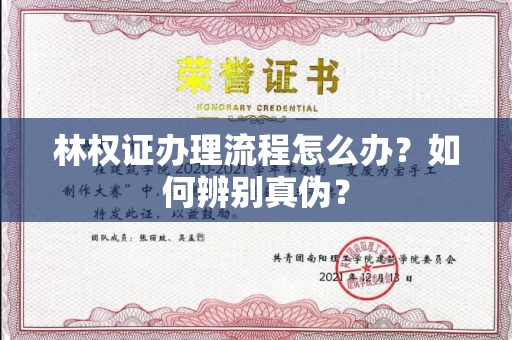 全国林权证办理流程怎么办?如何辨别真伪?