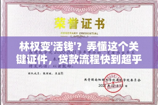 全国林权变'活钱'？弄懂这个关键证件，贷款流程快到超乎想象！