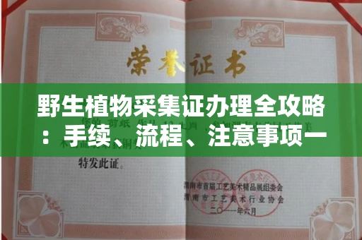 全国野生植物采集证办理全攻略:手续、流程、注意事项一网打尽